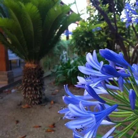 Appartement Residenza Altmar