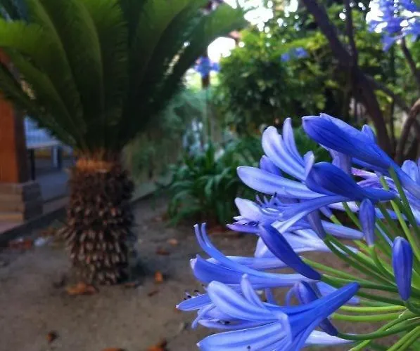 Apartamento Residenza Altmar